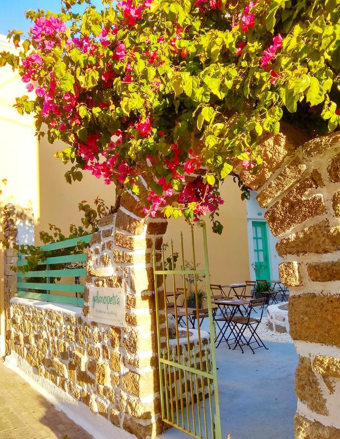 Hotel Galanopetra Rhodes Greece Rhodes City Exteriér fotografie